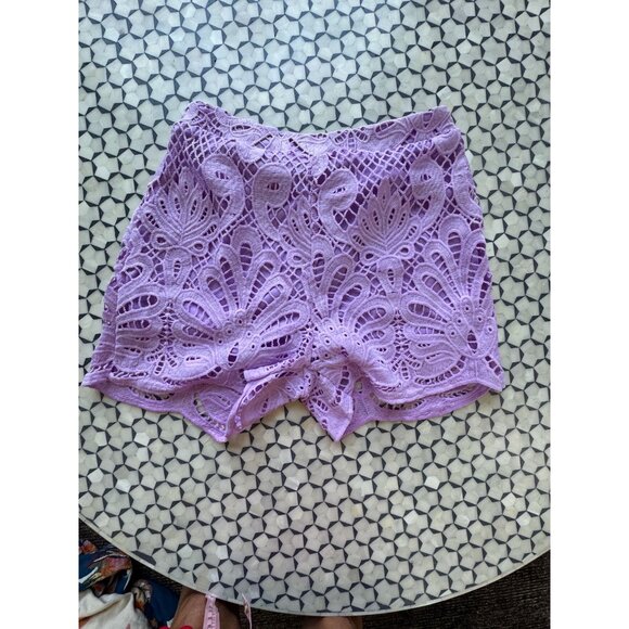 Lavender Lace 2-Piece Set With Back Zipper Top & Shorts NWT ADD CONFDT Size L - Picture 9 of 12